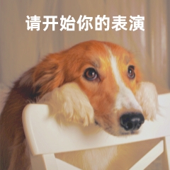 2026届热门美国院校ED录取数据大放送！你适合ED吗？(图1)
