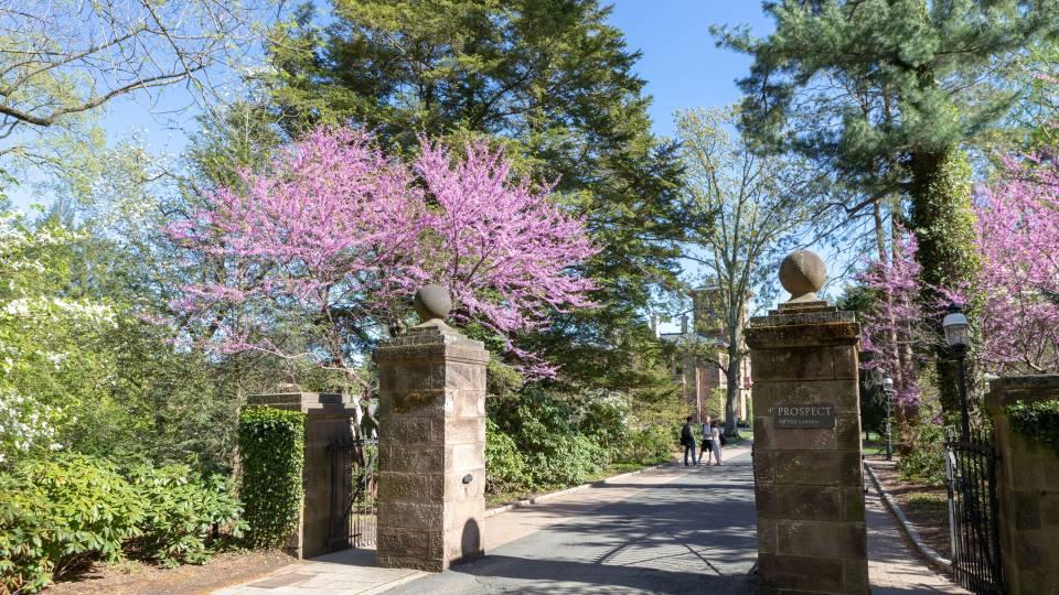 【每期一校】连续12年登顶U.S.News美综榜首的普林斯顿大学,是实至名归还是......(图7) 【每期一校】连续12年登顶U.S.News美综榜首的普林斯顿大学,是实至名归还是......(图7)