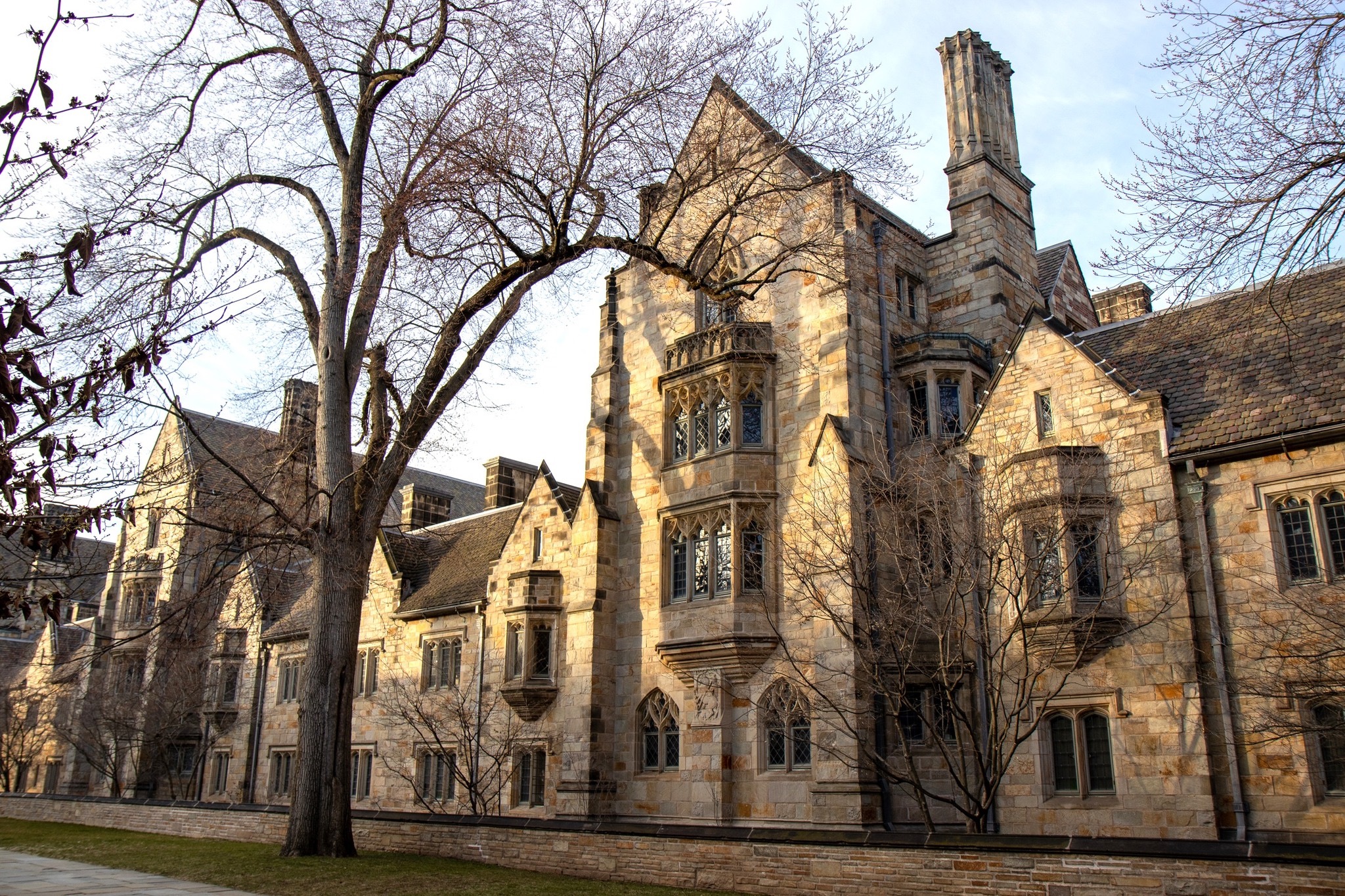 硕博申请｜大藤录取案例，耶鲁大学MSCS 录取分享！(图5)