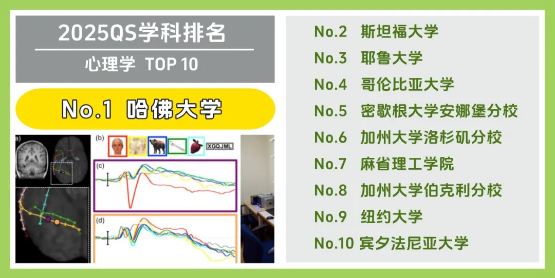 美国大学 Top 10 受欢迎专业大盘点！(图5)