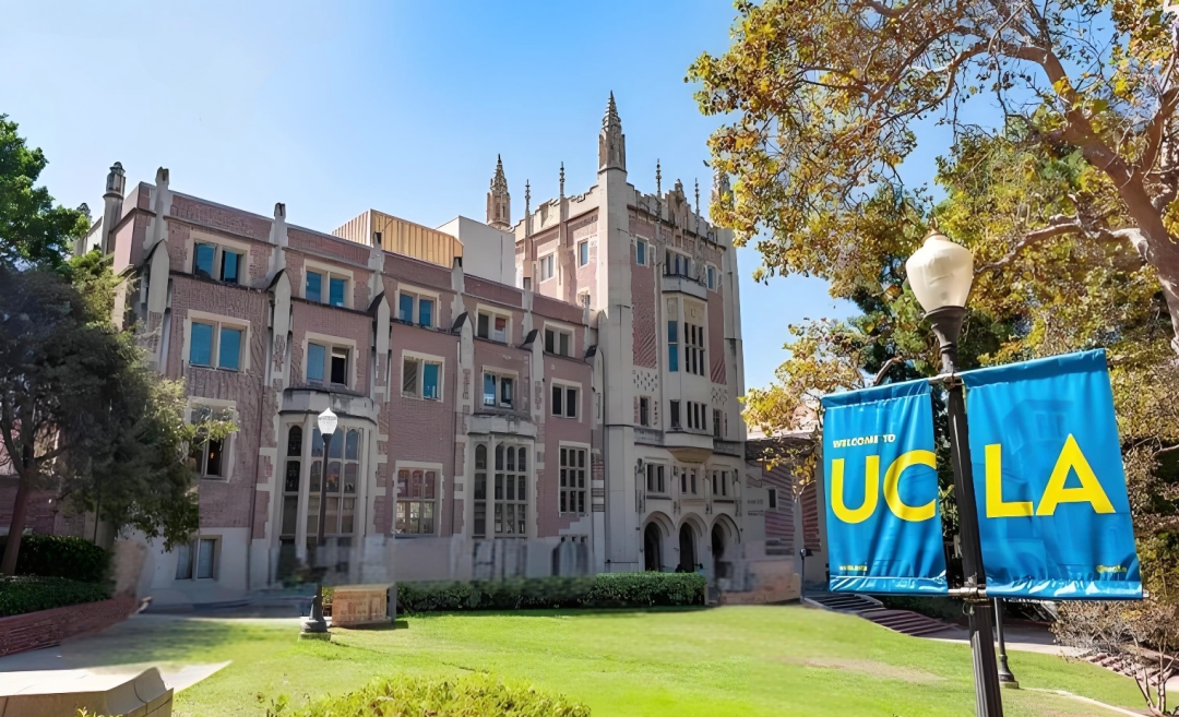 CC转学：Gap 两年≠申请劣势！ 非硬核背景斩获 UCLA 认知科学录取！(图3)